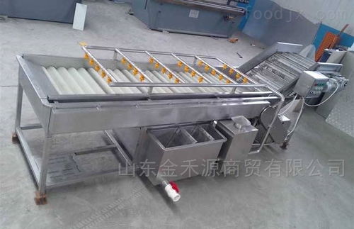 秋意正濃公司 引領產業革新，新型果蔬清洗風干流水線與先進汽輪機同步上市